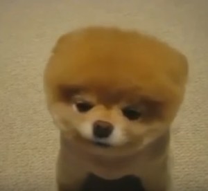 Иногда трудно поверить, что это - не игрушка